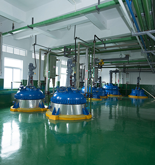 星空体育在线官网(集团)数码股份有限公司